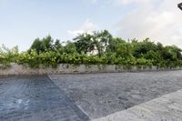 this is a parking lot on the side of a road with shrubs and shrubs all around