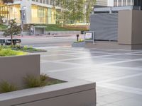 a street view showing some plants, bushes and a fire hydrant that is part of a plaza