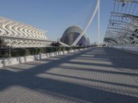 the buildings that line the walkway are designed like a wave and curves in front of them