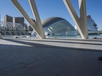 the sky is clear and blue in this image there are lots of columns in the foreground, with buildings on both sides
