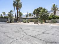 a desert style home surrounded by palm trees and mountains in palm springs, florida with an asphalt driveway