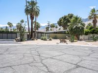 a desert style home surrounded by palm trees and mountains in palm springs, florida with an asphalt driveway