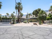 a desert style home surrounded by palm trees and mountains in palm springs, florida with an asphalt driveway