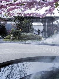 a man is spraying water over his car, outside of a building with cherry blossoms on the roof