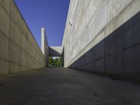 this image is taken in an open area, which features concrete walls and concrete walkways