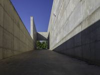 this image is taken in an open area, which features concrete walls and concrete walkways