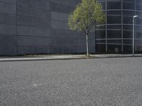 the corner of an empty street near a high rise building with no cars in it