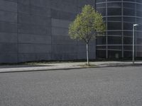 the corner of an empty street near a high rise building with no cars in it