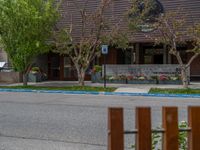 street corner with tree on the corner of the corner and a building behind it that is surrounded by multiple windows and a perforated brown lattice