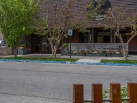 street corner with tree on the corner of the corner and a building behind it that is surrounded by multiple windows and a perforated brown lattice