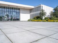 a white building with a glass entrance next to a row of yellow flowers on each side of the entrance is surrounded by green grass and trees