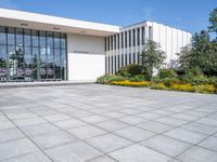 a white building with a glass entrance next to a row of yellow flowers on each side of the entrance is surrounded by green grass and trees