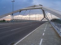 Modern Bridge in Zaragoza: Showcasing Urban Architecture