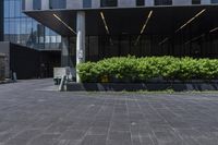 a concrete street with trees growing in front of it and building on the corner of the street