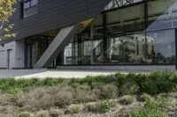 black clad, modern building with glass front and green bushes in front of it and the sidewalk next to it