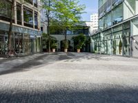 some people riding bicycles on a brick sidewalk and buildings in the distance and trees growing inside a green glass building