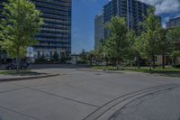 a street lined with lots of trees and tall buildings in the background - image by the eye of a person