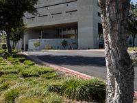 Modern Campus Architecture in California's Suburbs
