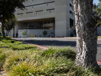 Modern Campus Architecture in California's Suburbs