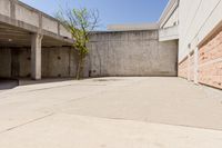 an empty brick building next to an empty tree branch and concrete wall on the ground