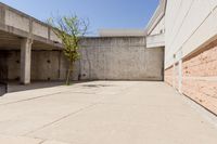 an empty brick building next to an empty tree branch and concrete wall on the ground