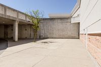 an empty brick building next to an empty tree branch and concrete wall on the ground