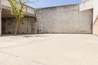 an empty brick building next to an empty tree branch and concrete wall on the ground