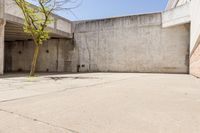 an empty brick building next to an empty tree branch and concrete wall on the ground