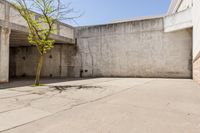 an empty brick building next to an empty tree branch and concrete wall on the ground