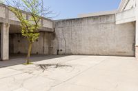 an empty brick building next to an empty tree branch and concrete wall on the ground