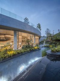 the garden outside this large, modern home is full of plants and potted planters