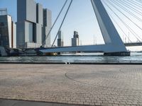 Modern City in Holland: Skyline and Architecture