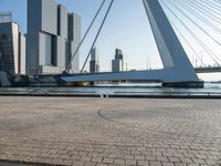 Modern City in Holland: Skyline and Architecture