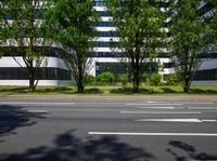 an empty city street with a line of trees on both sides, in front of a building