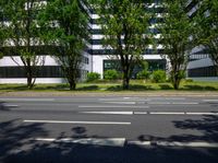 an empty city street with a line of trees on both sides, in front of a building