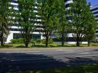 an empty street in front of a building that is surrounded by trees and grass in front of the building