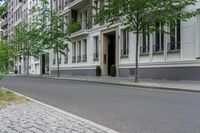 a street with several trees in front of buildings and an empty street next to them