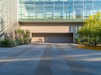 a modern looking courtyard with trees and plants in front of a building and glass walls