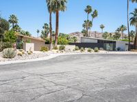 this is an image of the front of a modern desert house with palm trees and stone driveway