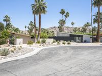 this is an image of the front of a modern desert house with palm trees and stone driveway