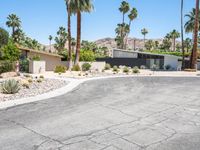 this is an image of the front of a modern desert house with palm trees and stone driveway