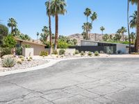 this is an image of the front of a modern desert house with palm trees and stone driveway