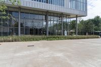 a dog walks in front of a glass office building and some green trees a bench and an umbrella