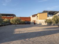 a view of the home from across the driveway area, showing several olive trees in front and a house with brown cladding