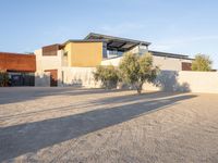 a view of the home from across the driveway area, showing several olive trees in front and a house with brown cladding