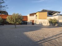 a view of the home from across the driveway area, showing several olive trees in front and a house with brown cladding