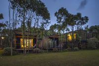 the modern homes of a forest are lit up at night in the evening sunlight, and the trees behind them are also bright