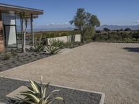 two green agave plants and some rocks outside a house, with a sky background