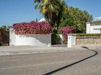 the house has a beautiful wall along the side of it, and surrounded by a bunch of pink flowers