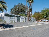 the exterior of a modern house next to a palm tree and a paved street with a car parked nearby